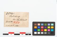 Etikett zu Bronzenähnadel (NHMW-PRAE-025141)